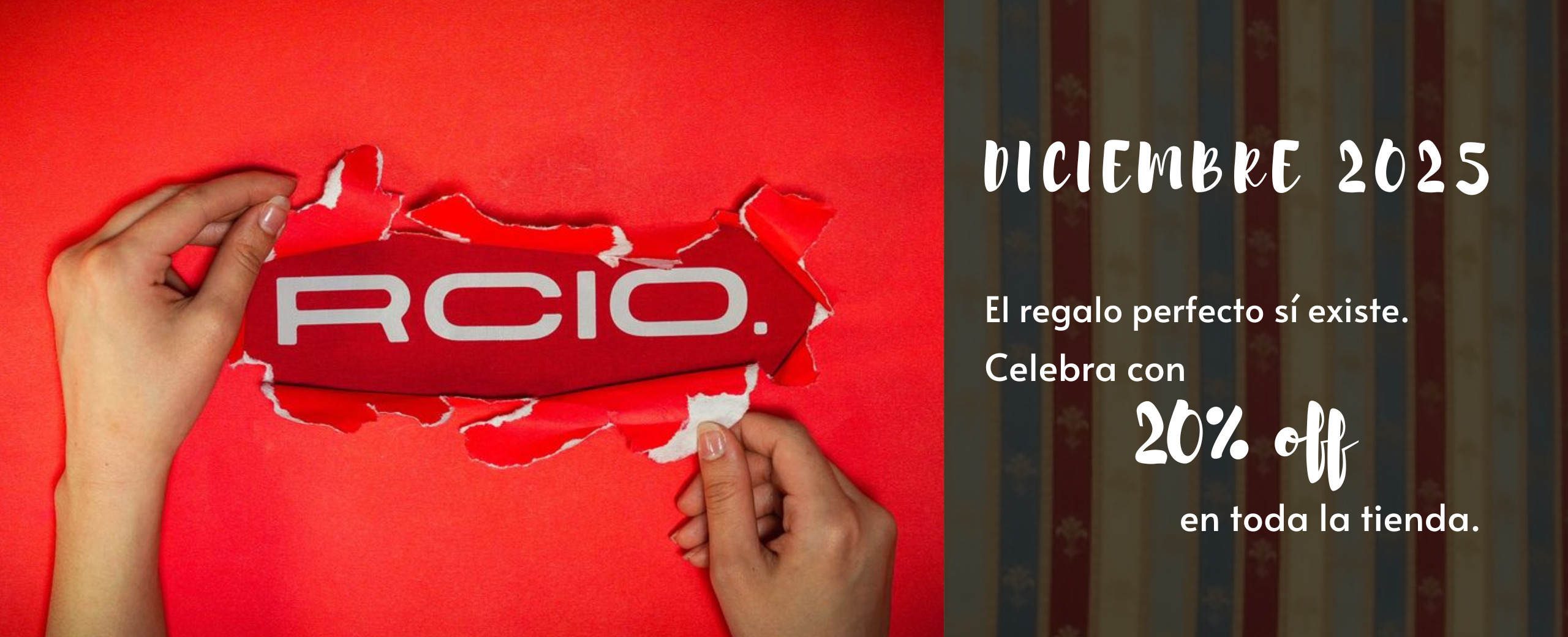 WhatsApp Image 2025-12-12 at 15.40.46