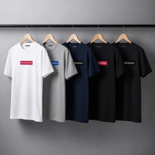 PLAYERA v2
